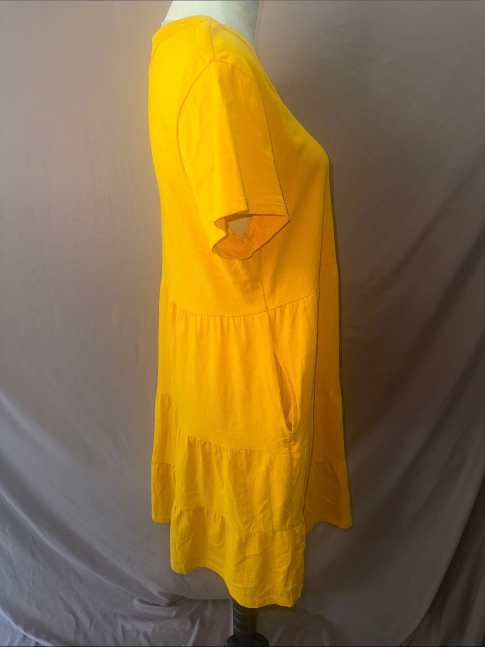 NWOT Time and Tru Gold Short Sleeve Dress - Picture 6 of 7